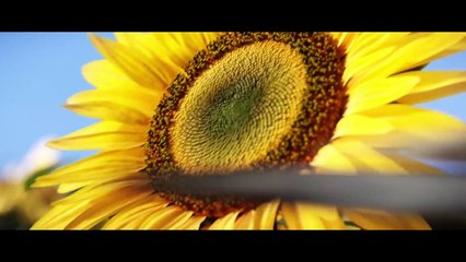 Trailer - Mass Effect 3: Take Earth Back