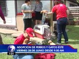 35 perros esperan por un hogar en la Feria de Adopciones el próximo viernes