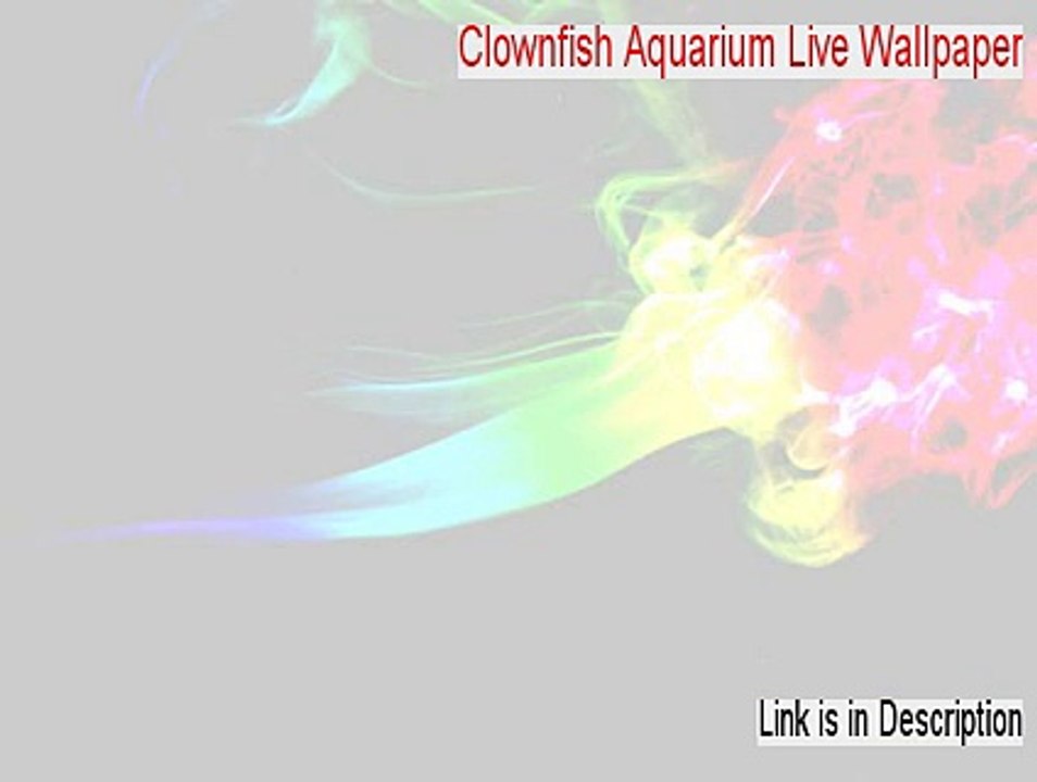 Clownfish Aquarium Live Wallpaper & Screensaver Download (Instant Download)