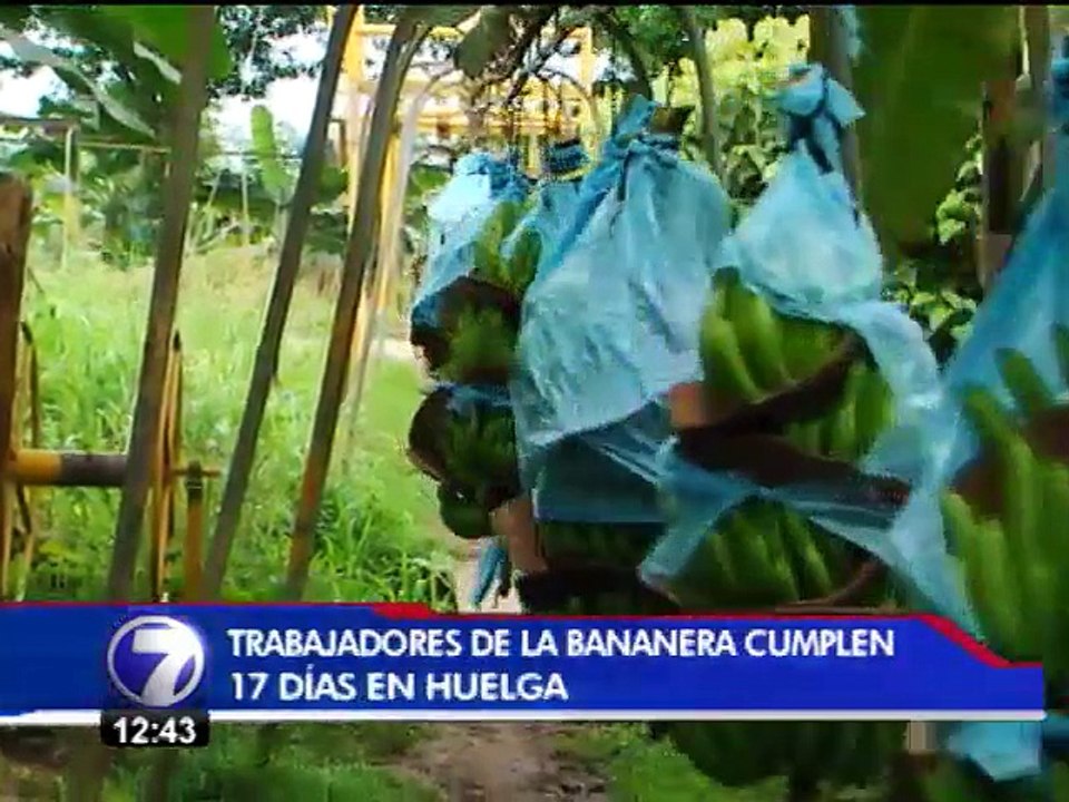Huelga de trabajadores de bananera en Sixaola cumple 17 días