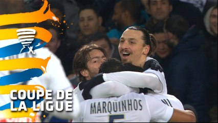LOSC Lille - Paris Saint-Germain (0-1)  - (1/2 finale) - Résumé - (LOSC-PSG) / 2014-15