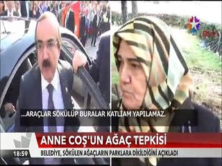 Vali Hüseyin Avni Çoş'un annesi ağaç söken belediye aracına böyle direndi