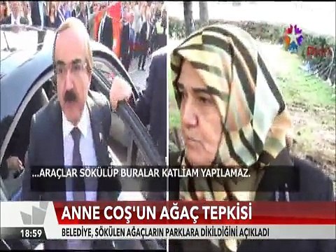 Vali Hüseyin Avni Çoş'un annesi ağaç söken belediye aracına böyle direndi