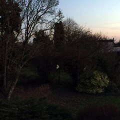 Jardin coucher de soleil