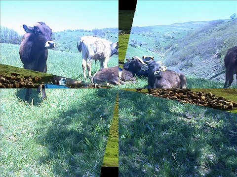 DENGBEJİ SİDAR BERİTAN SIMKO (İRAN) KLİP 2015 TRT KURDİ DENGBEJ TV