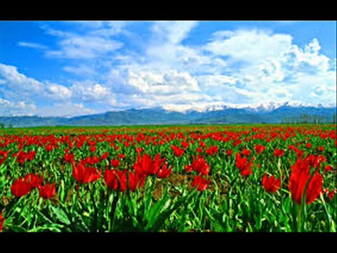 SİDAR BERİTAN FERMANE GUNDE ŞEXA KLİP 2015 DENGBEJ TV TRT KURDİ