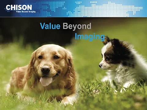 CHISON Q5 VET most affordable highest quality color doppler ultrasound machine