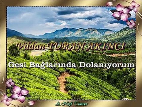 Vildan TURAN AKINCI *Gesi Bağlarında Dolanıyorum*
