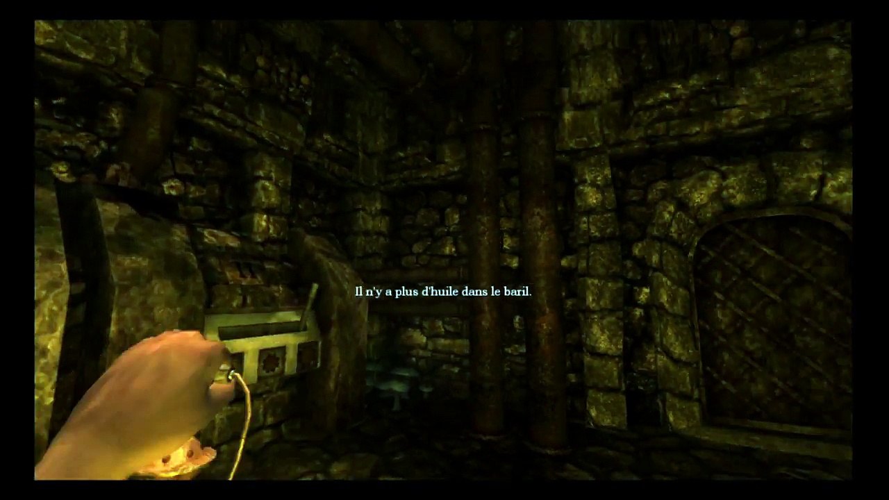 Test horrifique - Amnesia: The Dark Descent (Le Survival-Horror par Excellence)