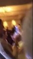 فيديو لمهند التركي يرقص على الشعبي في عرس مغربي بهولندا