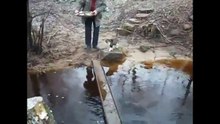 Smart cat crosses river - funny !