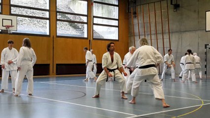 Stage de Mulhouse/Bâle 2015