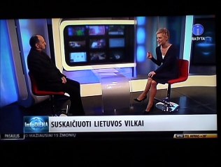 20150205 INFO TV apie vilkų apskaitą