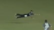 Amazing catch by young New Zealand cricketer (Corey Anderson)