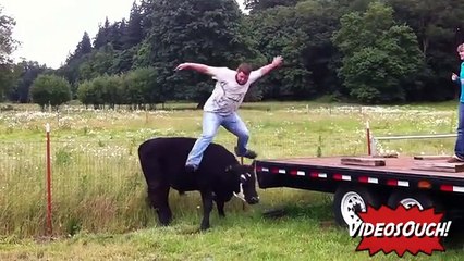 The best falls and bumps January 2015/Compilación de Videos divertidos enero  2015/