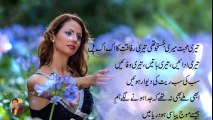 Teri mohabat- Poetry by Jamil Ahmed Jamil