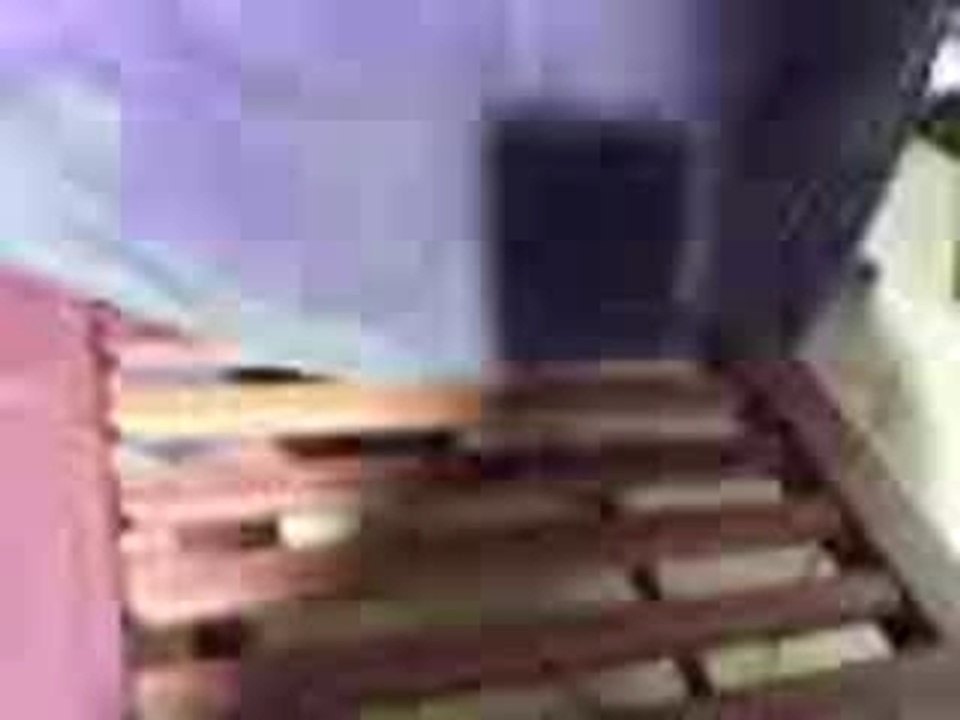 CK Zap 3
