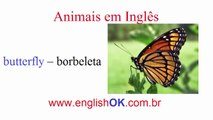 Veja Animais Em Inglês