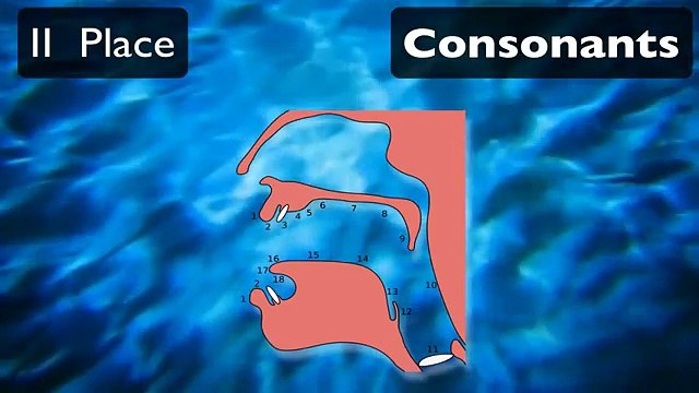 Pronunciation-Tutorial-1-English-Pronunciation-and-IPA-Voicing-and-Place