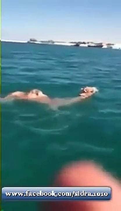 کبھی اونٹ کو تیرتے ہوئے دیکھا ہے
