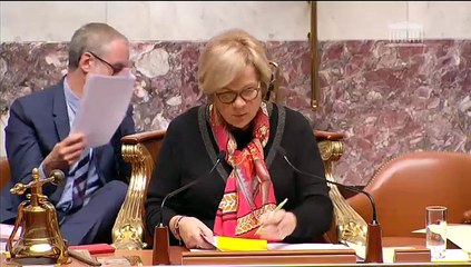 CROISSANCE, ACTIVITÉ ET ÉGALITÉ DES CHANCES ÉCONOMIQUES (suite) - Mercredi 4 Février 2015