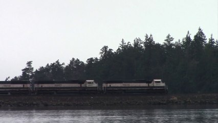 BNSF Executive MAC's Lead Coal Train at Bellingham, WA