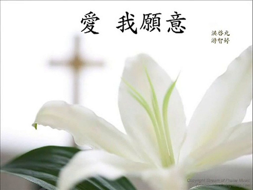 爱 我愿意