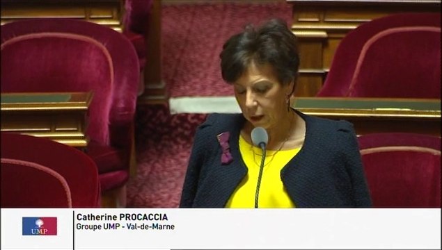 Usurpation de plaques d'immatriculation : Comptez-vous combler le vide juridique actuel et réglementer la profession de fabricant de plaques ?