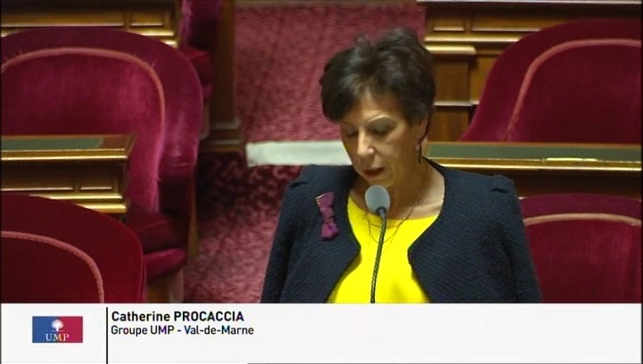 Usurpation de plaques d'immatriculation : " Comptez-vous combler le vide juridique actuel et réglementer la profession de fabricant de plaques ? "