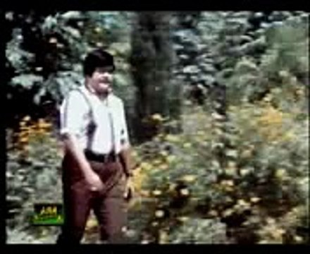 Awain Ty Nai Dhola Tery Pichy Pichy Andi Han - Noor Jahan Official Video Song