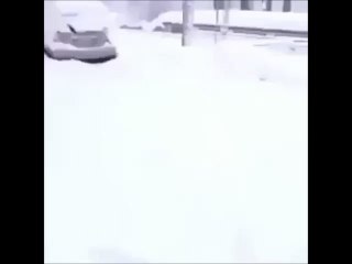 Funny Snow Diving Doggie