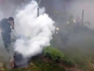 Kako se rijesiti komaraca