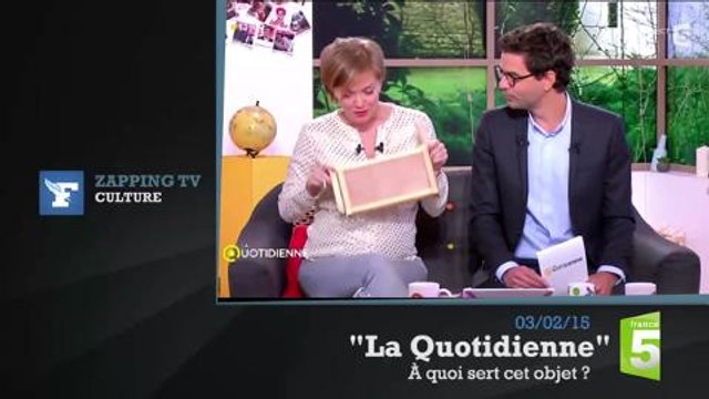 Zapping TV: une marmotte mord un journaliste américain