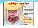 0535 3573503 danışma, tiroid_hormonları,tiroidit nedir tedavisi,tiroidit nedir kronik troiditi,kronik tiroidit tedavisi,kronik tiroidit belirtileri,kronik tiroidit nedir, kronik tiroidit zemininde nodüler guatr,kronik lenfositik tiroidit,atrofik tiroidit