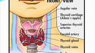 0535 3573503 danışma, tiroid_hastalıkları, haşimato,tiroidit nedir,tiroidit hastalığı,tiroidit nodüllü,otoimmun tiroidit,subakut tiroidit