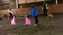 Agility feb 2015 Kiara 03