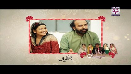 Babul Ki Sahaliyan Episode 17 HUM SITARAY TV Drama