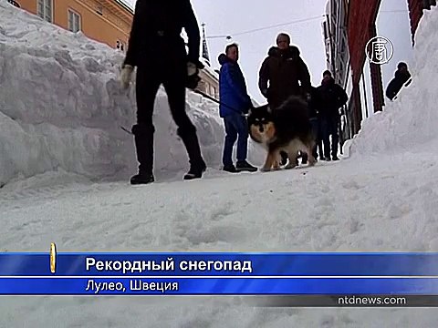 Город в Швеции: сильнейший снегопад за 50 лет