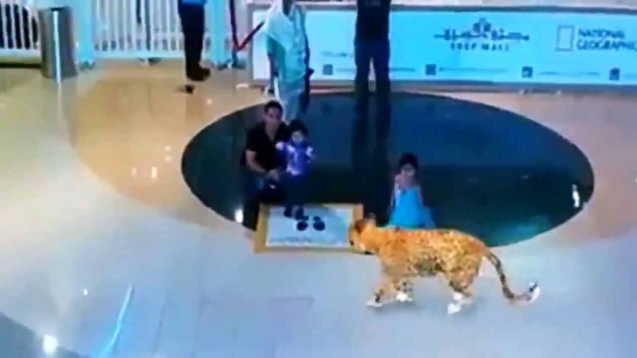 7D Hologram Technology Amazing Show in Dubai