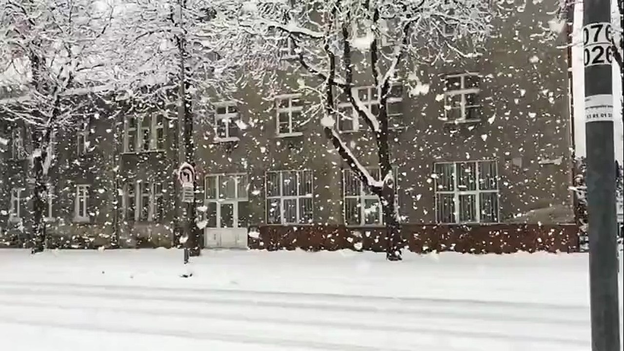 Pahuljice u usporenom snimku