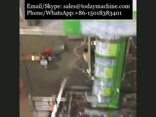 Détergent en poudre gousset Sac équipement d'emballage