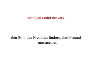 Lateinvokabeln II-K22a und K23a