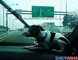 Dog Hates Windshield Wipers | Funny Videos