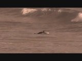 Les Vagues et le surf  - belles vagues surfées vidéo
