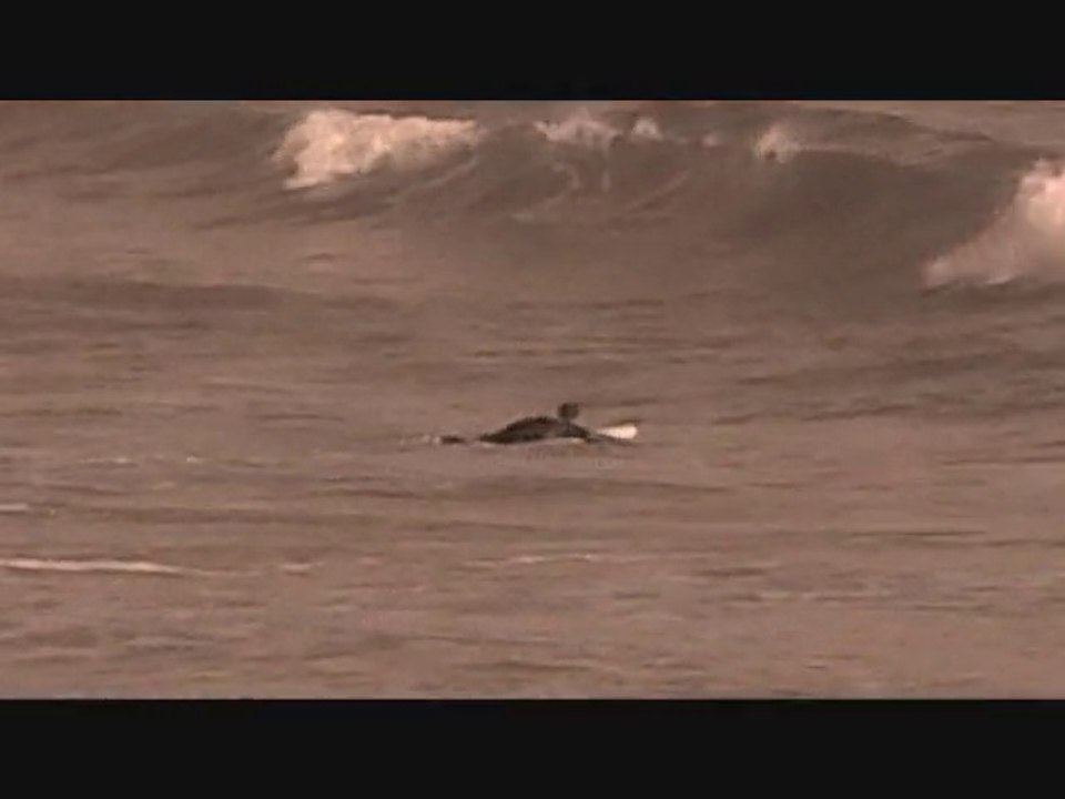 Les Vagues et le surf  - belles vagues surfées vidéo