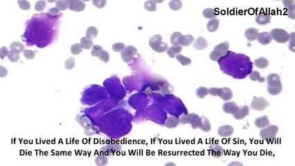Must Listen You Will Die The Way U Live