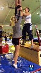 Poussines aux Barres