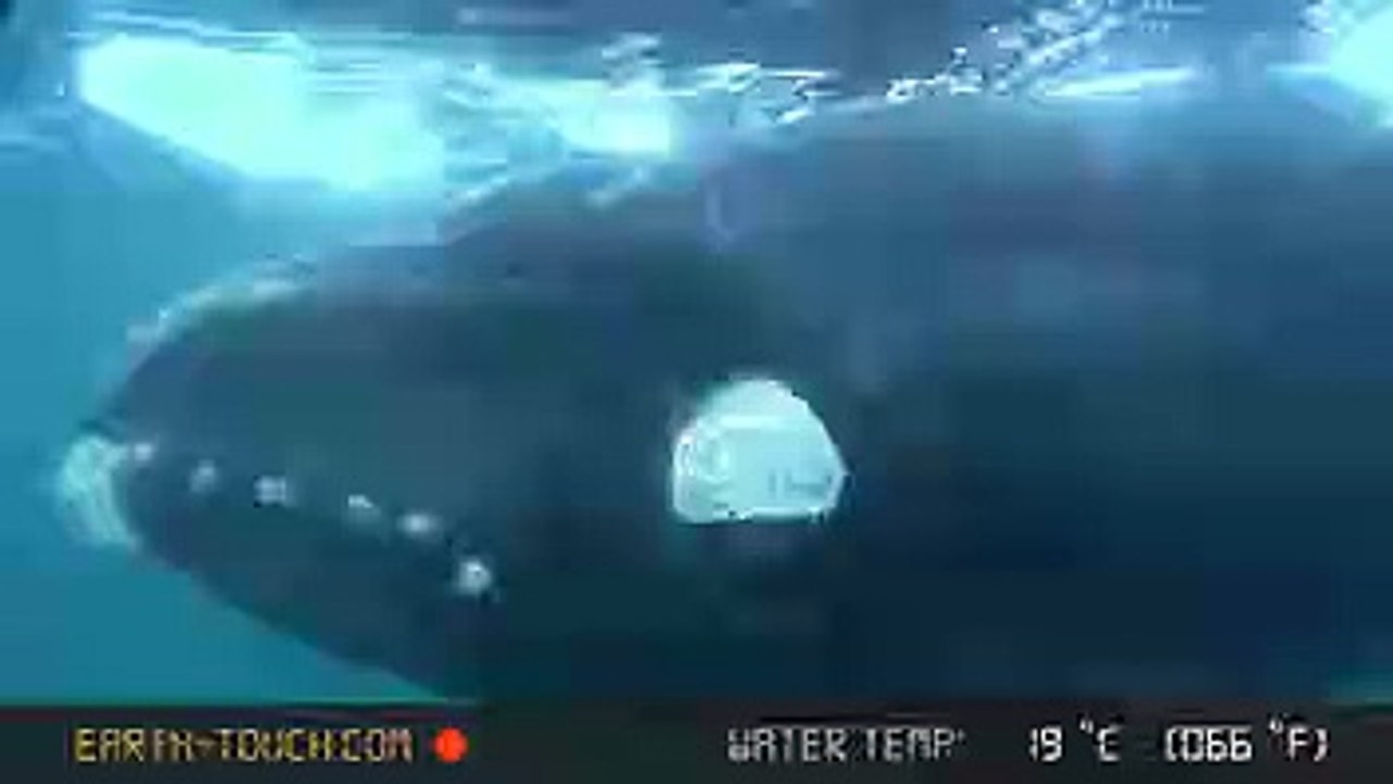test-vid-free01