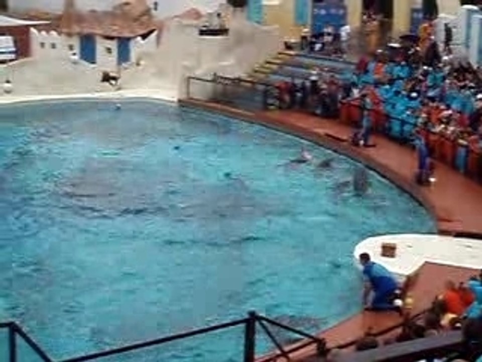 Dauphins au Parc Astérix