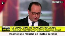 Une mouche gène François Hollande durant sa conférence de presse